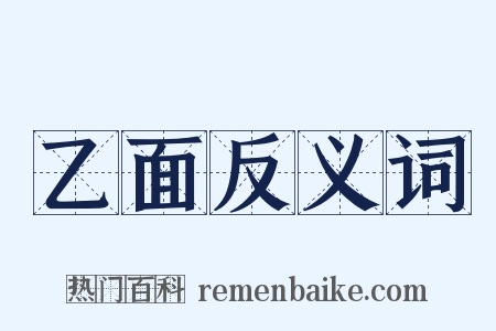 乙面反义词是什么意思的图片